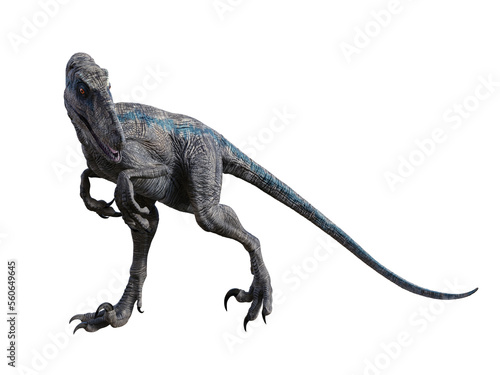 dinosaur velociraptor 3d render photo