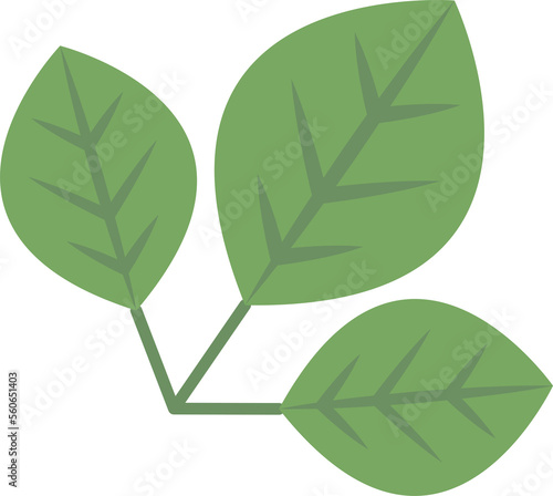 Three leaves vector icon
