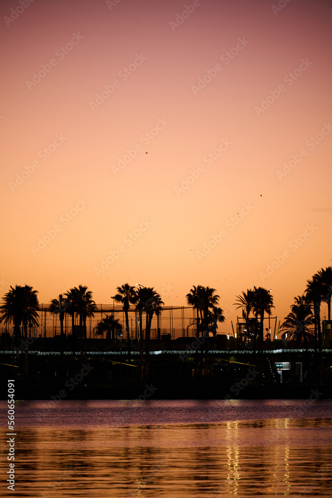 sunset over the river with palm trees