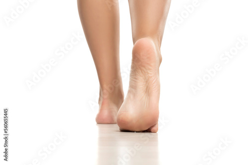 Back view of a beautifully cared female bare feet on a white background.