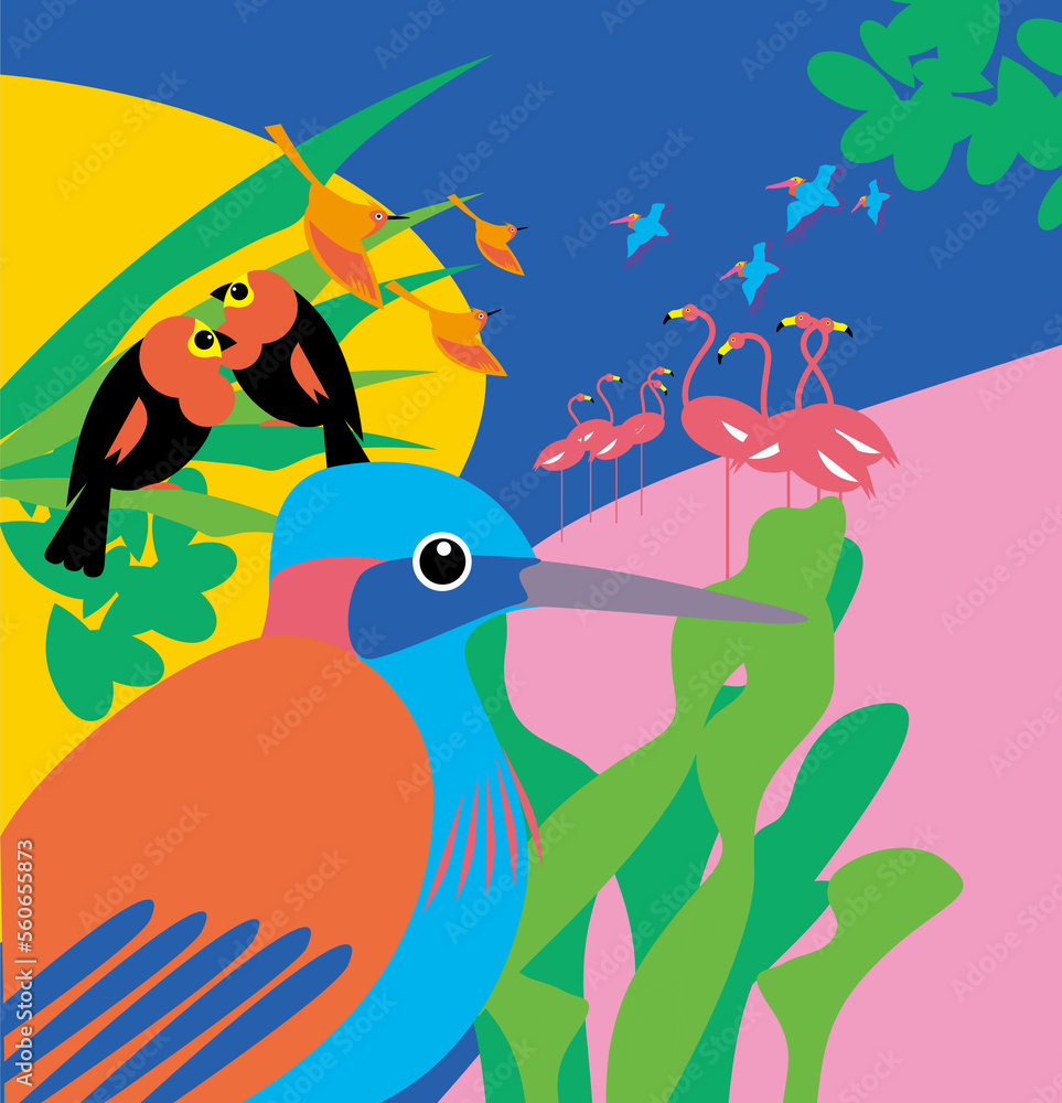 Obraz premium 南国の鳥たち