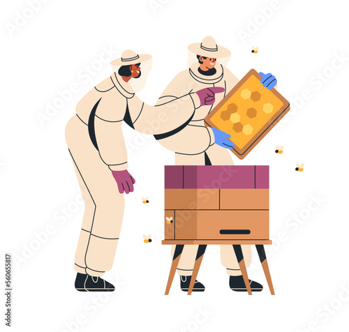 Beekeepers at beehive, holding honeycomb frame. Apiarists, keepers couple in suits at hive, watching for bees on honey comb. Beekeeping concept. Flat vector illustration isolated on white background