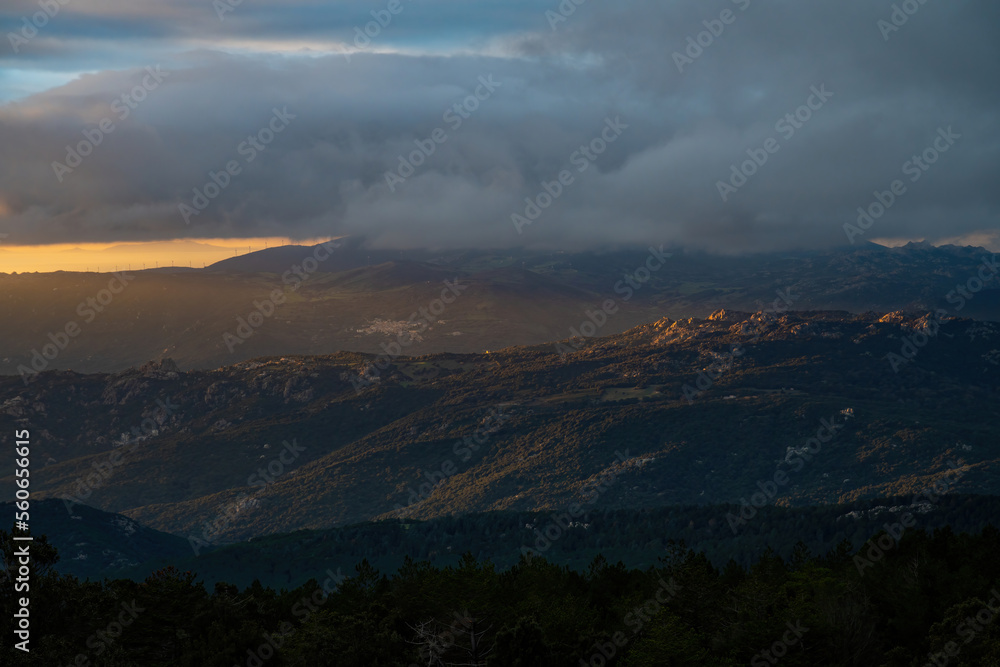 Trees and mountains in Sardinia