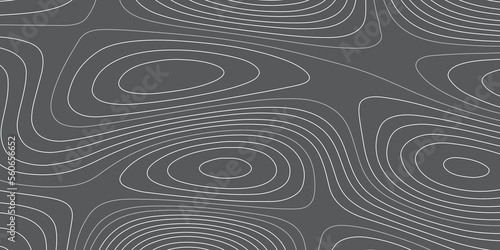 Abstract topographic map lines and cercle background. Abstract vector illustration. The stylized height of the topographic contour in lines and contours.