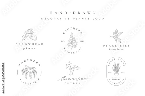 Miinimalist Hand Drawn Decorative Plant Logo