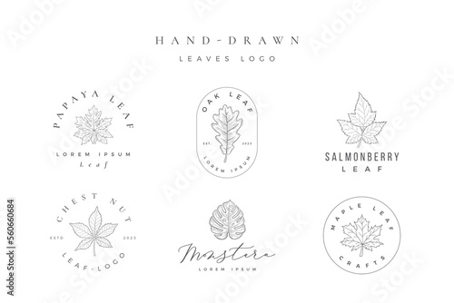 Minimalist Hand Drawn Leaves Logo