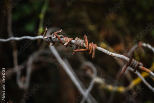 rusty barbed wire