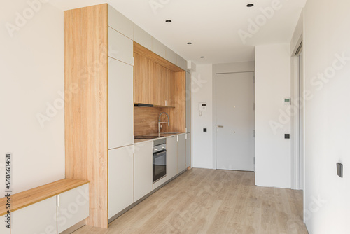 Simple small modular kitchen area along the wall in studio apartment next to front door. Furniture minimalism with lots of cabinets  an oven and an induction cooker for cooking delicious food.