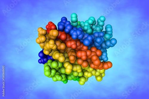 Human adipocyte fatty acid binding protein in complex with a carboxylic acid ligand. Space-filling molecular model. Rendering based on protein data bank. Rainbow coloring from N to C. 3d illustration