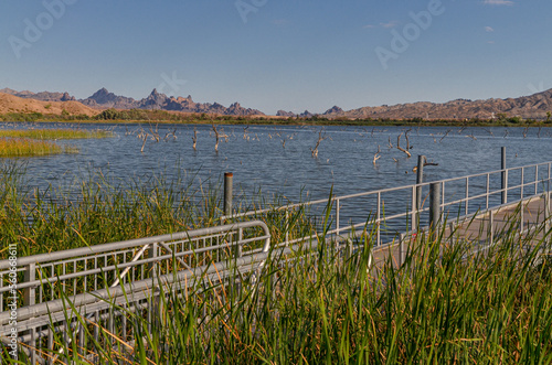 Topock Bay scenic view from Catfish Paradise Day Use Area (Mohave county, Arizona)