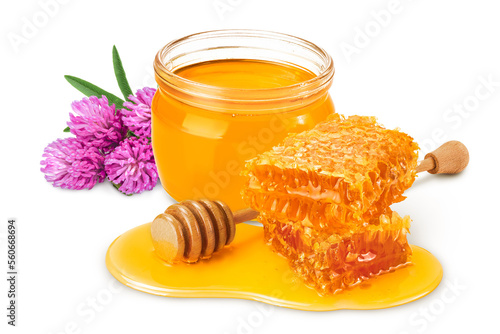 Honeycombs and honey puddle isolated on white background with full depth of field