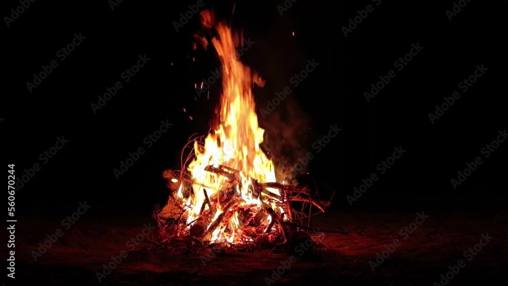 Night Bonfire Burns in the Dark Forest - Slow Motion. Flaming Campfire at Nighttime. Place for Bonfire. Fire Pit Outdoors, Wood on Fire, Flying Sparks and Smoke - Static Shot Night Bonfire Burns in the Dark Forest - Slow Motion. Flaming Campfire at Nighttime. Place for Bonfire. Fire Pit Outdoors, Wood on Fire, Flying Sparks and Smoke - Static Shot