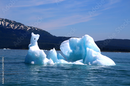 Alaska Wrangell-Saint-Elias Wilderness, iceberg in Icy Bay, United States 