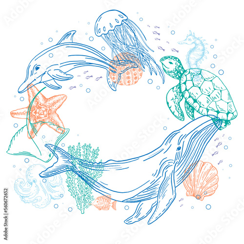 Underwater life - animals and plants. Vector hand drawn line illustrations

