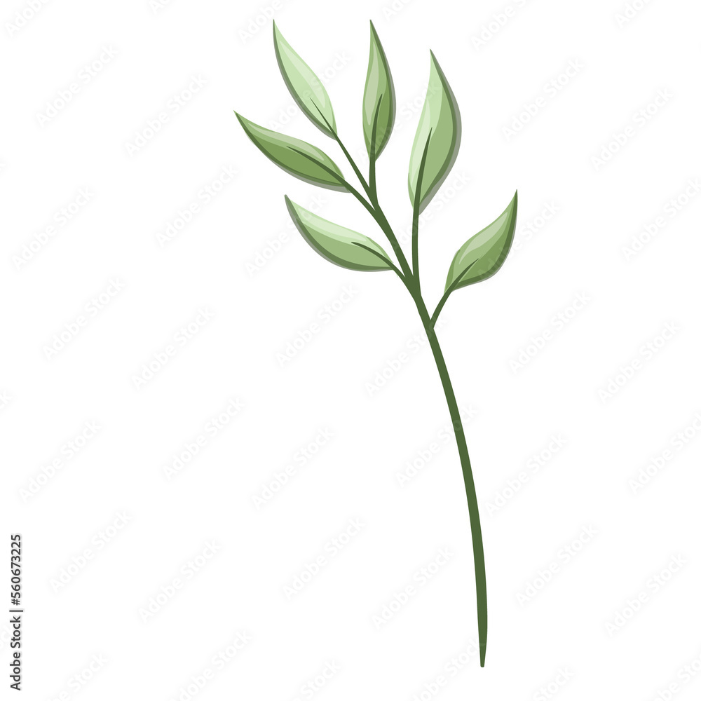 Obraz premium Wildflower Illustration. Floral Isolated