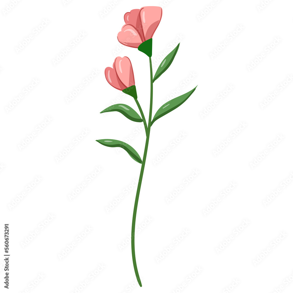 Wildflower Illustration. Floral Isolated