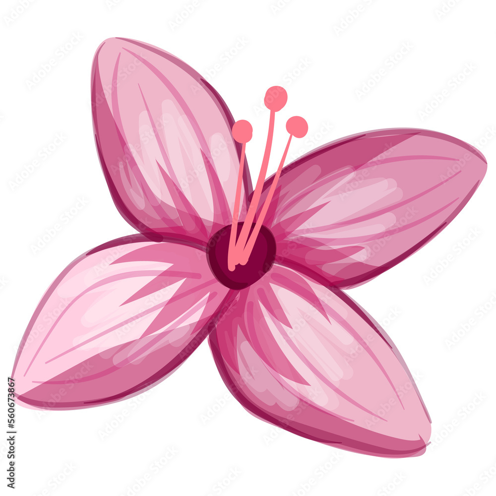 Wildflower Illustration. Floral Isolated Wildflower Illustration. Floral Isolated