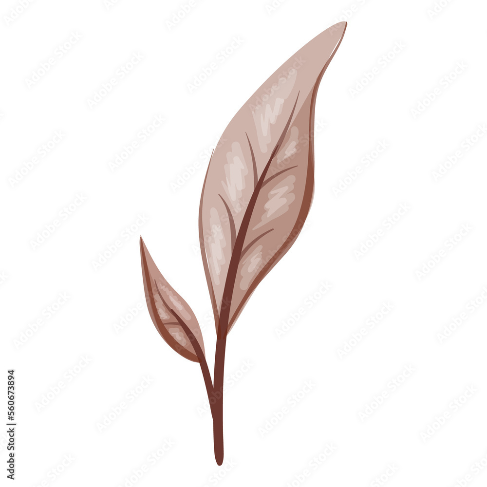 Wildflower Illustration. Floral Isolated Wildflower Illustration. Floral Isolated