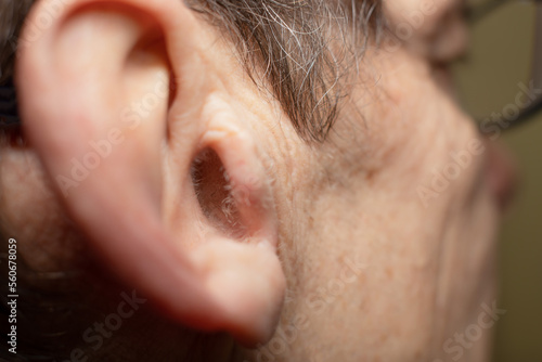 Caucasian old man ear with a growing hair in the ear