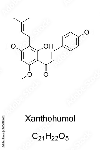 Xanthohumol, chemical formula. Natural product found in blossoms of hops, Humulus lupulus. Also found in beer, belonging to a class of compounds, that contribute to the bitterness and flavor of hops.