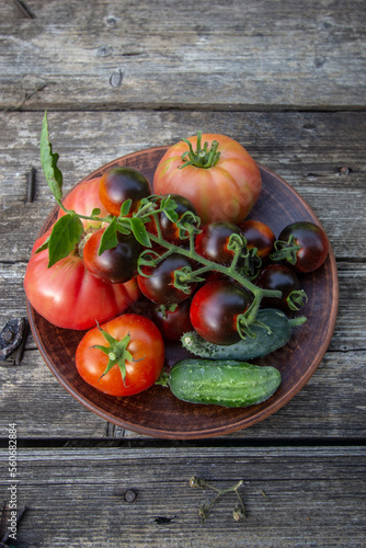 fresh tomatoes and cucumbers on a plate