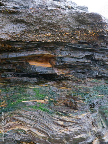 Texture Background Rock
