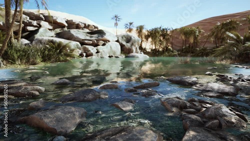 An desert oasis in the Oman photo