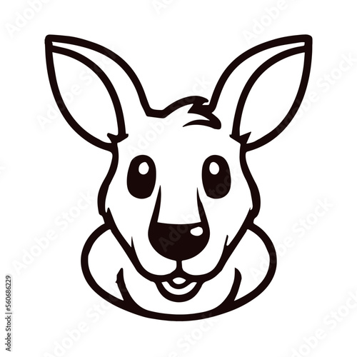 Baby Kangoroo