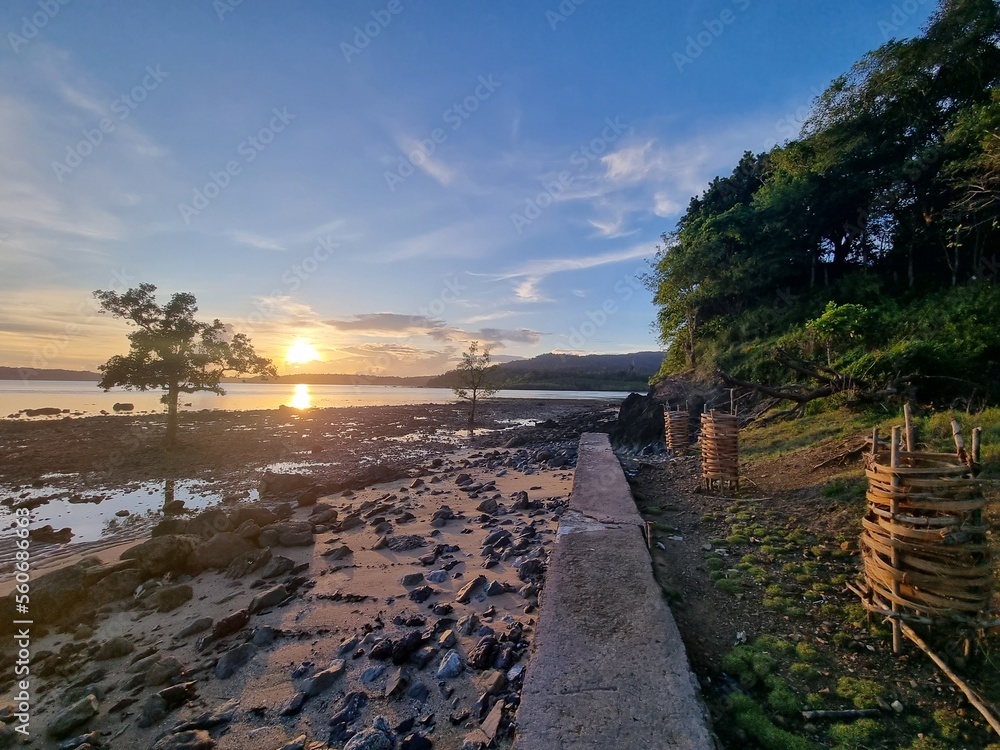 Fototapeta premium bridge between sand and grass
