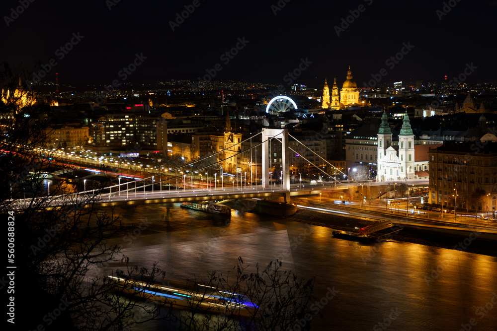 Nightlife, Cityscape with a Bridge, Ferris Wheel and a Temple in the background at Budapest