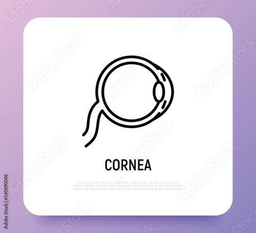 Cornea thin line icon. Structure of human eye. Ophthalmology. Vector illustration.