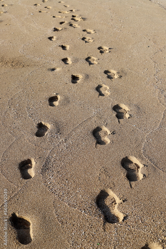Footprints in the sand by the sea Footprints in the sand by the sea