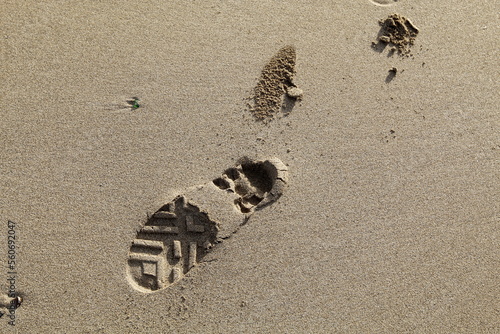 Footprints in the sand by the sea
