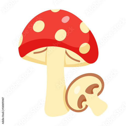 Mushrooms 