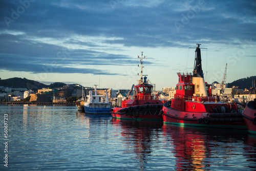 Colorful ships moored in Wellington port at sunrise, New Zealand  photo