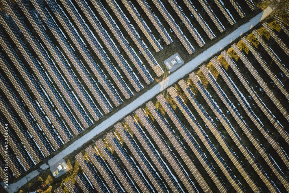 Obraz premium thousands of solar panels generating renewable energy