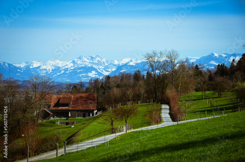 Spring landscape view in Zurich