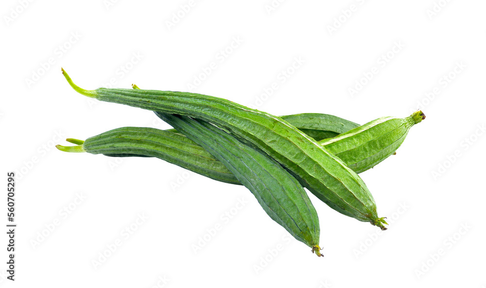 Fresh gourd on transparent png Fresh gourd on transparent png