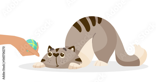 Cute comic cat and hand holding ball vector illustration. Cartoon drawing of adorable playful kitten character playing with owner on white background. Pets, domestic animals concept