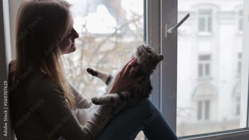 A beautiful British cat in the hands of the owner. The girl sits on the windowsill with a cat and plays with him. A beautiful British cat in the hands of the owner. The girl sits on the windowsill with a cat and plays with him.