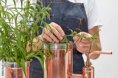 Woman putting cannabis in alembic apparatus.