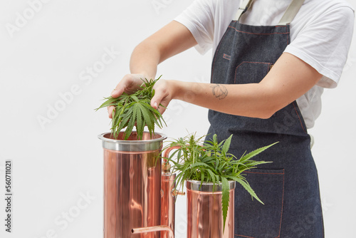 Woman putting cannabis in alembic apparatus.