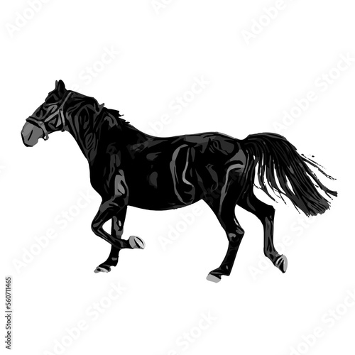 black and white sketch of a horse with a transparent background