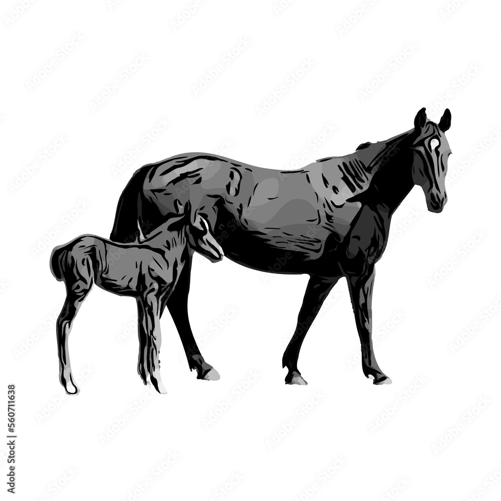 black and white sketch of a horse with a transparent background