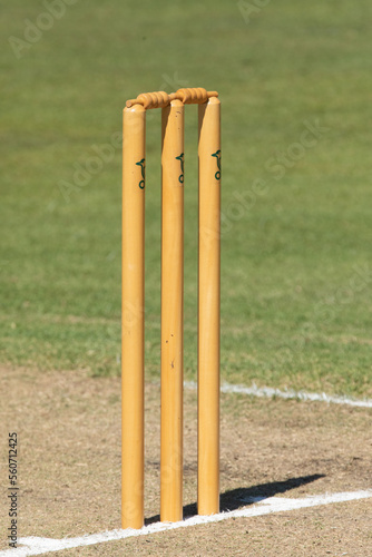 Cricket