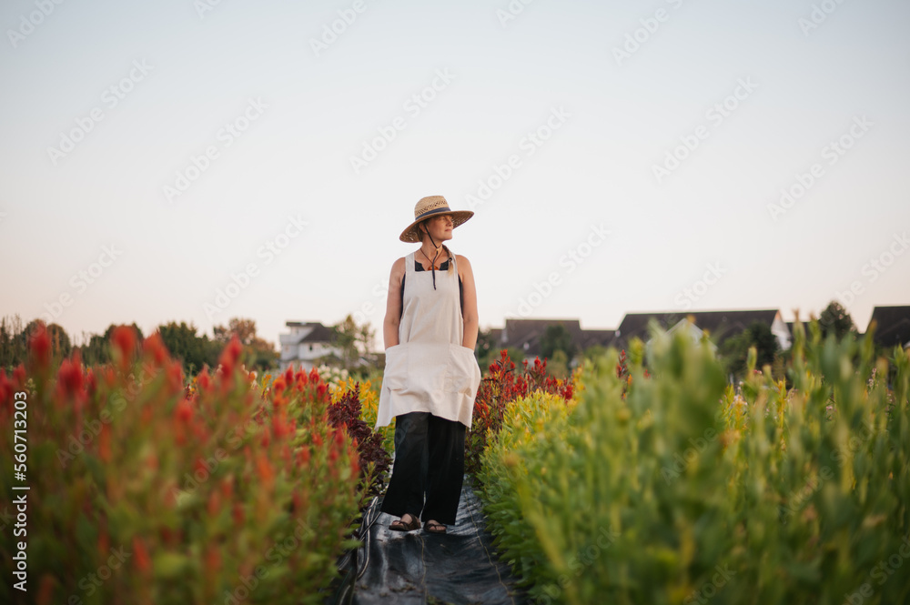 Woman in a summer dress and hat harvests flowers in a field. Woman in a summer dress and hat harvests flowers in a field.