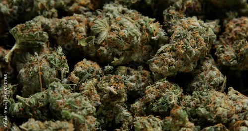 Close up makro shot of 360 degree rotating loop of ripe, dried high quality cannabis marijuana flower buds in professional lighting