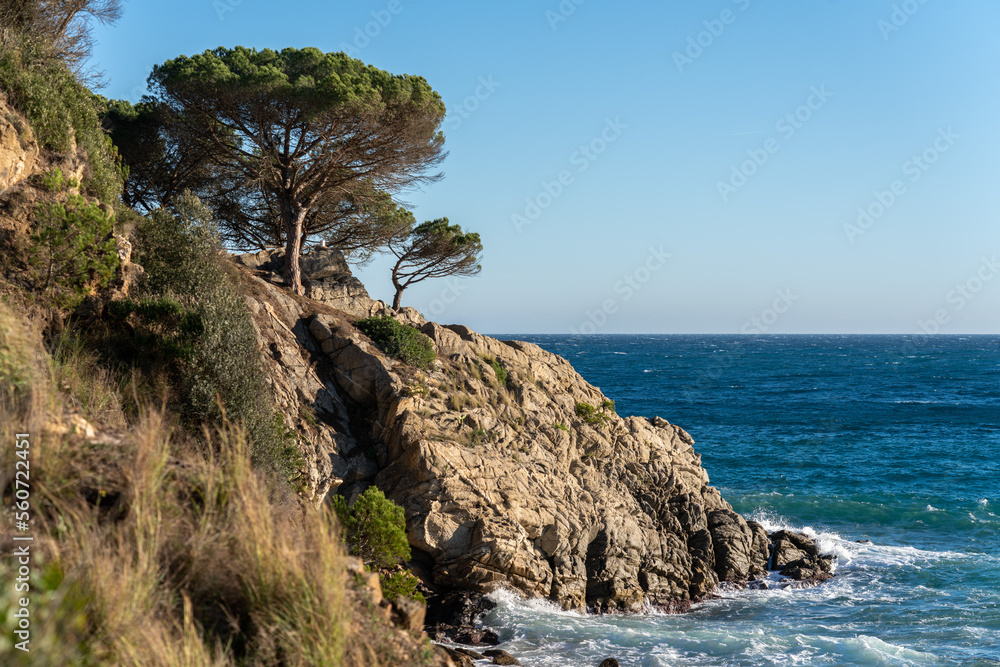 Beautiful view of the rocky winter sea coast with the pine tree on top.
