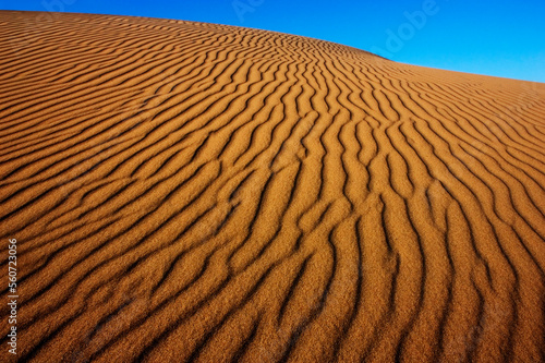 Oceano sand dunes
