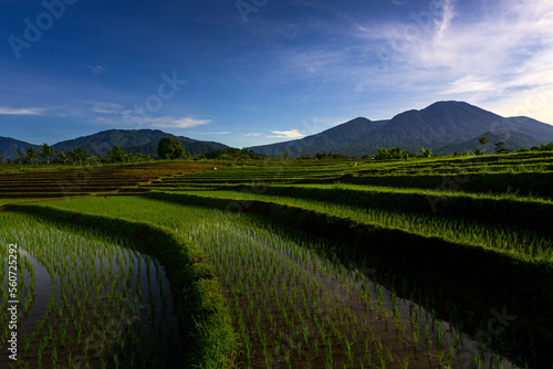 aerial view of indonesian rural area with mountains and rice fields in the morning